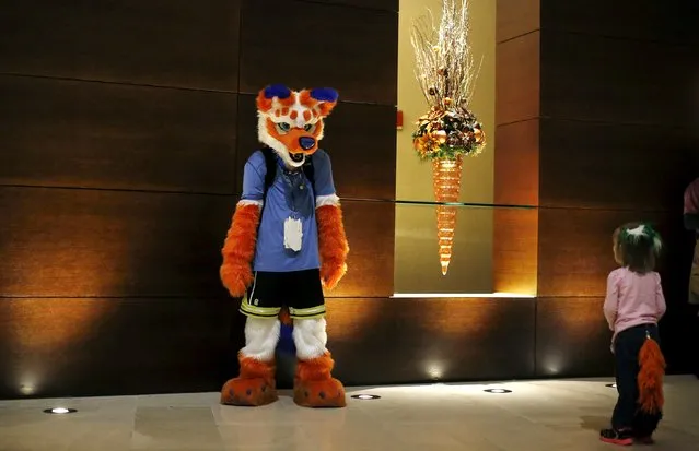 Tabby Galloway (R) looks over at an attendee dressed up in a "fursuit" costume at the Midwest FurFest in the Chicago suburb of Rosemont, Illinois, United States, December 4, 2015. (Photo by Jim Young/Reuters)