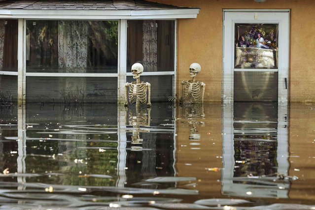 Decorations remain outside a home in a neighborhood still flooded from Hurricane Milton as the area prepares to have the FEMA Disaster Recover Center covert to a polling location for the general election on Monday, November 4, 2024, in Ridge Manor, Fla. (Photo by Mike Carlson/AP Photo)