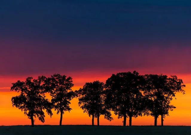 A narrow strip of clouds illuminated in the light of sunset before approaching rain clouds over an alley near Sieversdorf district Oder-Spree, Brandenburg, Germany on July 14, 2016. (Photo by Patrick Pleul/DPA)