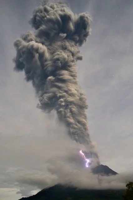 This picture taken in Karo on November 19, 2013 shows Sinabung volcano spewing volcanic ash and hot smoke in Karo. (Photo by Sutanta Aditya/AFP Photo)