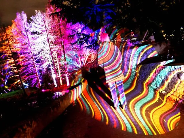 A visitor is illuminated by various lights in the “winter lights” exhibition in the Palmengarten Park in Frankfurt, Germany, Sunday, January 15, 2017. (Photo by Michael Probst/AP Photo)