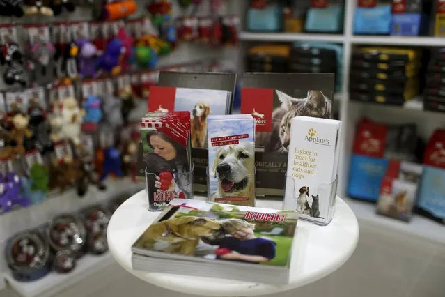 Dog equipment is displayed at a shop in My Second Home, a newly opened luxury pet resort and spa, in Dubai, April 24, 2015. (Photo by Ahmed Jadallah/Reuters)