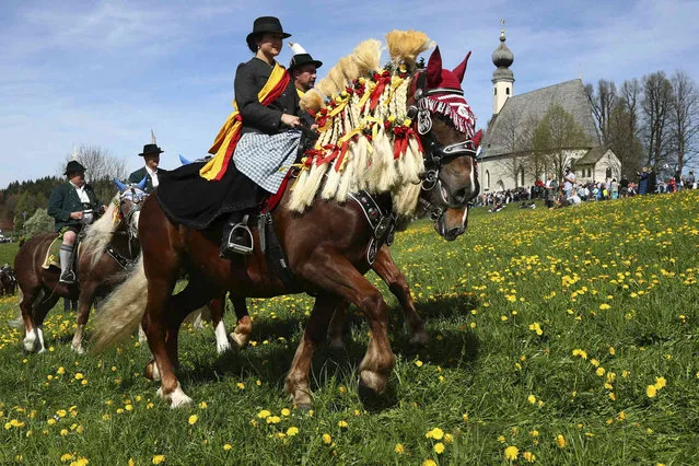 Local residents of the region wearing traditional costumes are on their way to get blessing for men and beasts at the St. George church in Traunstein, Germany, Monday, April 22, 2019. (Photo by Matthias Schrader/AP Photo)