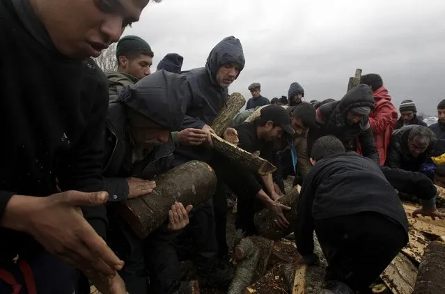 Refugees and migrants gather logs from a shipment of firewood at a makeshift camp at the Greek-Macedonian border, near the village of Idomeni, Greece, March 23, 2016. (Photo by Alexandros Avramidis/Reuters)