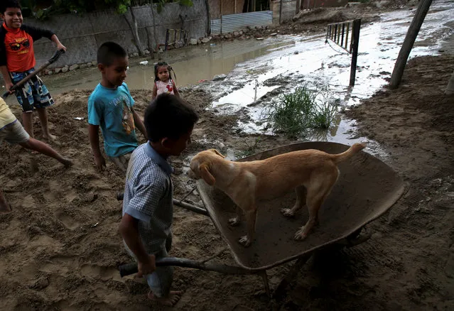 Children play with a dog next to their flooded home damaged after heavy rain in Castilla district of Piura, Peru on March 17, 2017. (Photo by Mariana Bazo/Reuters)