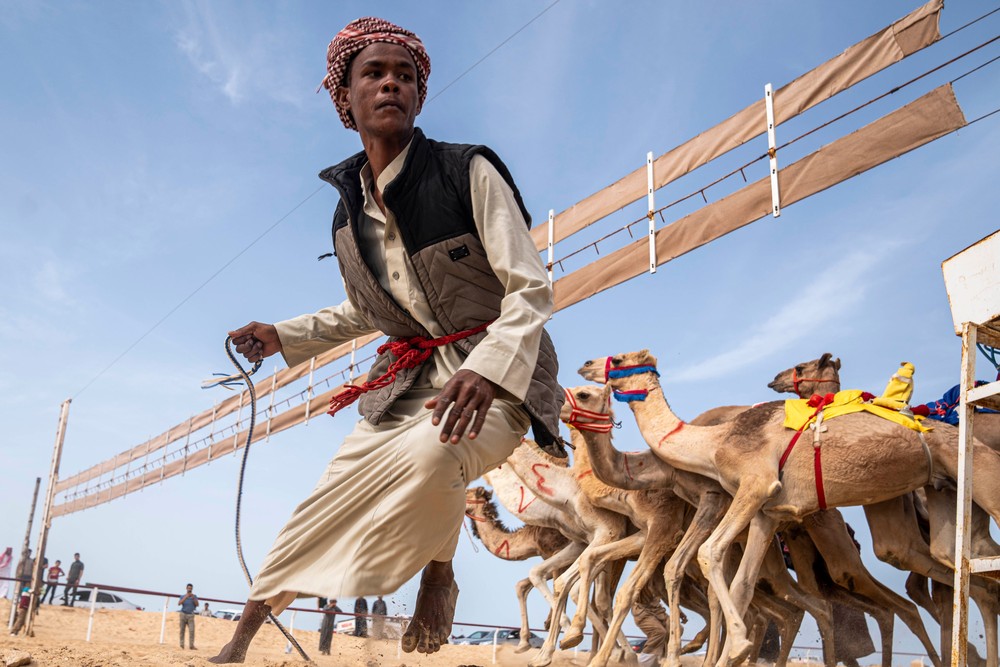 A Look at Life in Egypt