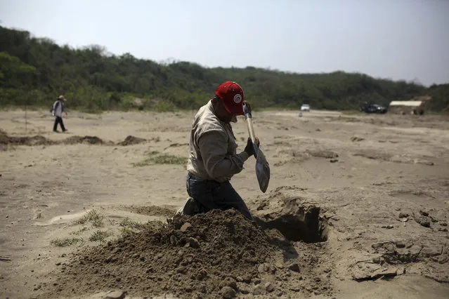 In this March 30, 2017 file photo, A volunteer searcher digs into the earth at a clandestine grave site in Colinas de Santa Fe, in Mexico's Veracruz state. Mexico's government human rights agency said Thursday that tens of thousands of people have been recorded as missing across the country over the past two decades. And thousands have been reported found in clandestine graves during the drug war of the past 10 years. But the National Human Rights Commission says the exact numbers are a mystery. (Photo by Felix Marquez/AP Photo)