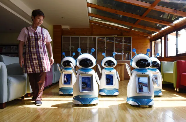 A staff walks past robots serving at a nursery home in Hangzhou, Zhejiang Province, China, May 17, 2016. (Photo by Reuters/Stringer)