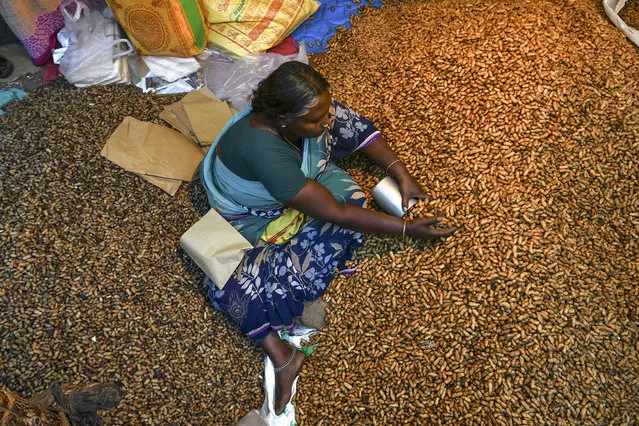 A street vendor picks peanuts to seel them to customers during “Kadalekai Parishe”, the annual oldest known peanut fair, in Bangalore on November 25, 2019. (Photo by Manjunath Kiran/AFP Photo)