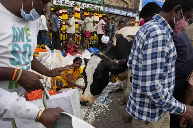 People react as a cow takes away a bunch of flowers from a vendor at a wholesale market in Bengaluru, India, Wednesday, April 13, 2022. People have resumed normal activities after authorities lifted COVID-19 restrictions including wearing of face masks in public places. (Photo by Aijaz Rahi/AP Photo)