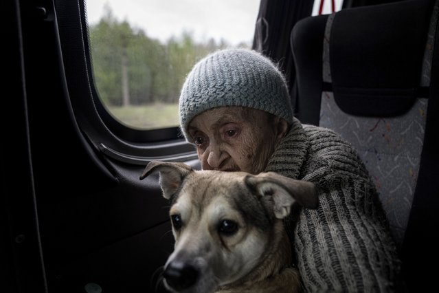 An elderly woman sits on a bus with her dog during evacuation from Lyman, Donetsk region, eastern Ukraine, Saturday, April 30, 2022. (Photo by Evgeniy Maloletka/AP Photo)