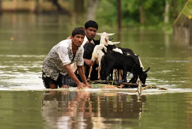 People use a makeshift raft to transport goats as they wade through a flooded road in Jakhalabandha area in Nagaon district, in Assam, India, August 13, 2017. (Photo by Anuwar Hazarika/Reuters)