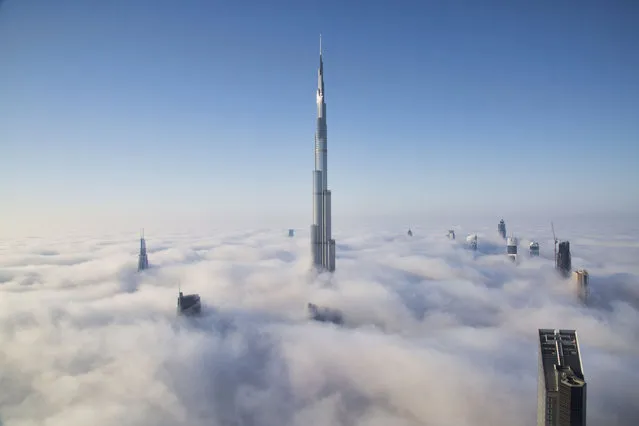 The world's tallest building pierces through a dense blanket of fog as the famous Dubai skyline disappears as part of a natural phenomenon which occurs just twice a year. Banker Syed Ali Adeel Bukhari snapped these incredible photos of the 2,700ft Burj Khalifa as the oil-rich city was engulfed in thick fog. (Photo by Ali Adeel/Solent News/SIPA Press)