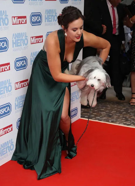 Ashleigh Butler and Sully the dog attends the Animal Hero Awards 2017 at The Grosvenor House Hotel on September 7, 2017 in London, England. (Photo by Mike Marsland/WireImage)