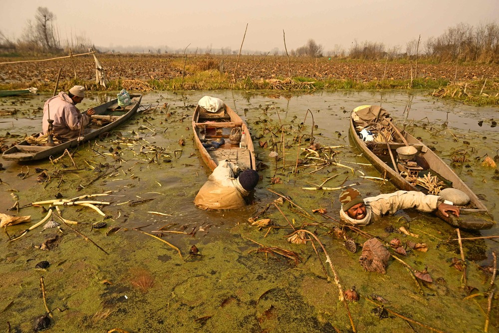 A Look at Life in India