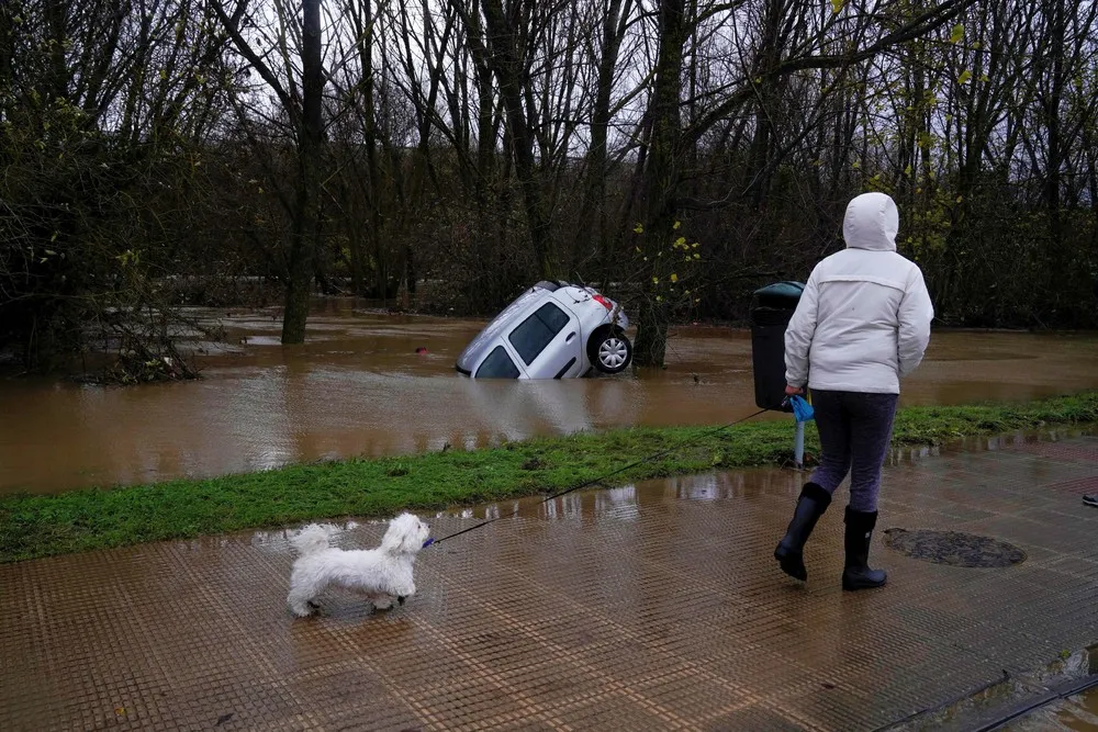 Pictures of the Year 2021, Part 97/102