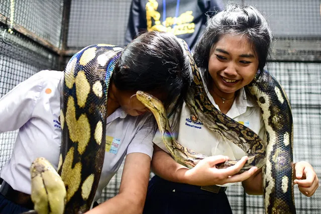 Thai school girls pose for photographs with pythons during the 2022 Pet Expo Championship in Bangkok on September 8, 2022. (Photo by Manan Vatsyayana/AFP Photo)