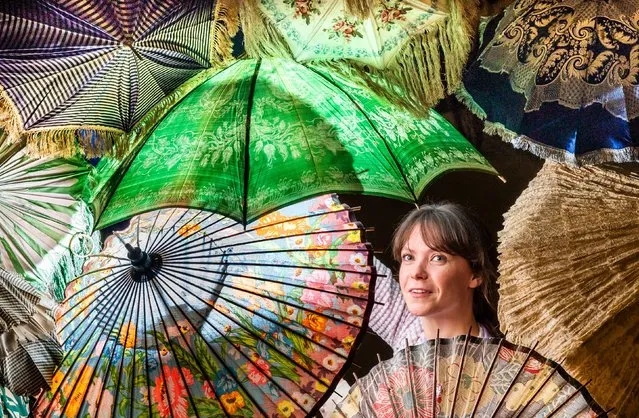 Assistant Curator Vanessa Jones on Wednesday, September 28, 2022 with part of a collocation of over 230 historic umbrellas and parasols, some of which date back to the 1800s, that is being saved thanks to a painstaking conservation project at the Leeds Discovery Centre in Yorkshire. (Photo by Danny Lawson/PA Images via Getty Images)