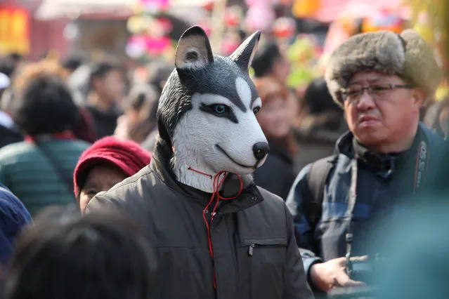 A man wearing a dog mask visits Confucian Temple as a celebration for Chinese Lunar New Year of the Dog in Nanjing, Jiangsu province, China February 17, 2018. (Photo by Sun Zhongnan/Reuters/CNS)