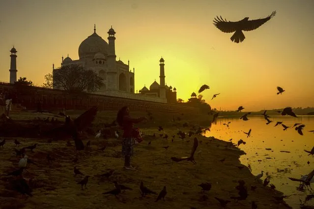 A girl feeds birds as the sun sets behind the Taj Mahal at Dussehra Ghat on the banks of the Yamuna River in Agra on February 3, 2023. (Photo by Pawan Sharma/AFP Photo)