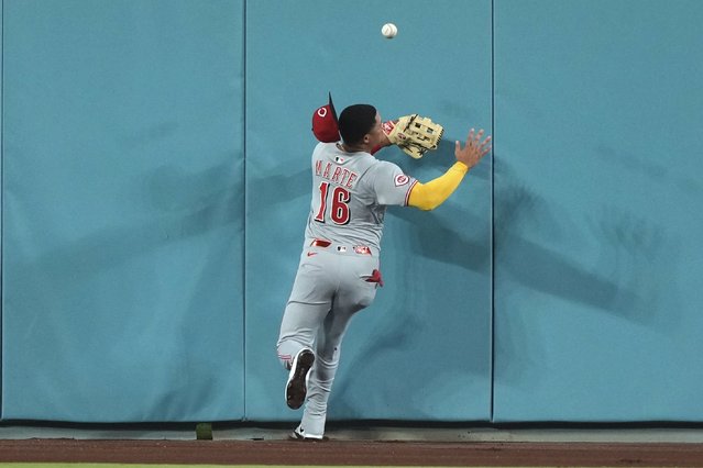 Cincinnati Reds center fielder Noelvi Marte collides with the wall as he goes after a ball hit for an RBI double by Los Angeles Dodgers' Miguel Rojas during the sixth inning of a baseball game Tuesday, August 26, 2025, in Los Angeles. (Photo by Mark J. Terrill/AP Photo)