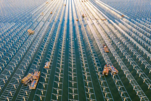 Workers at the construction site of a reservoir fishing light complementary photovoltaic power station project install photovoltaic panels on floating boats in Hefei, Anhui Province, China on March 4, 2021. (Photo by Costfoto/Barcroft Media via Getty Images)