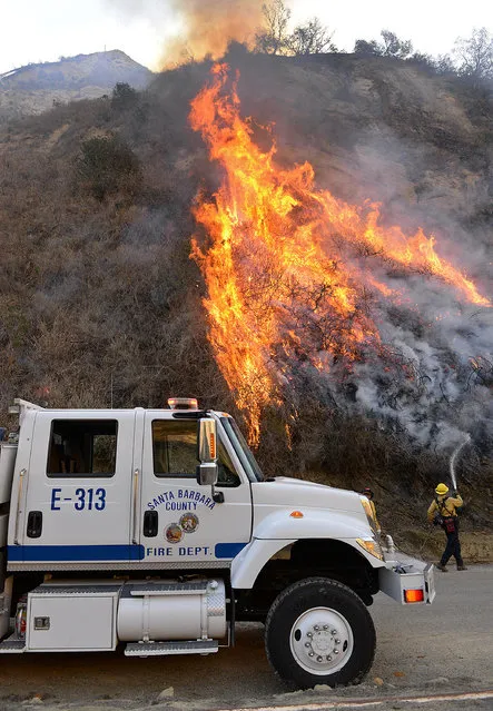 Santa Barbara County firefighter Chris Hansen works to douse a flare-up on an oil field access road while working a Solimar wildfire in Ventura County Saturday, December 26, 2015. (Photo by Mike Eliason/Santa Barbara County Fire Dept. via AP Photo)