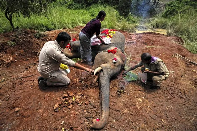 Forest officials place flowers on a wild elephant that succumbed to injuries after being hit by a speeding train at Kurkria village, outskirts of Guwahati, India, Thursday, August 10, 2023. (Photo by Anupam Nath/AP Photo)