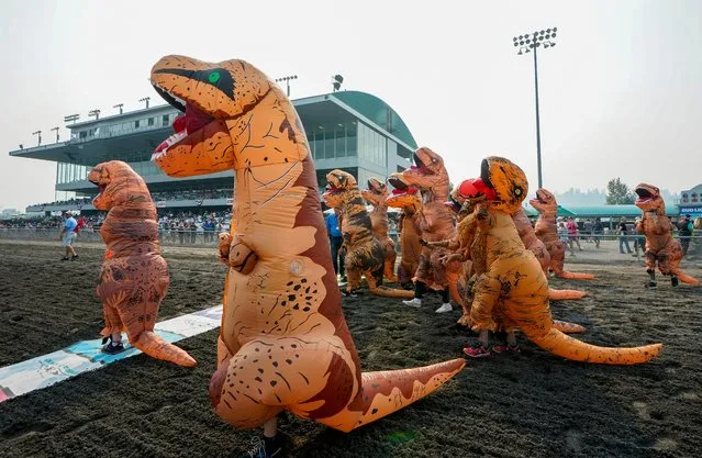 Racers line up to participate in the second set of heats during the “T-Rex World Championship Races” at Emerald Downs, Sunday, August 20, 2023, in Auburn, Wash. (Photo by Lindsey Wasson/AP Photo)