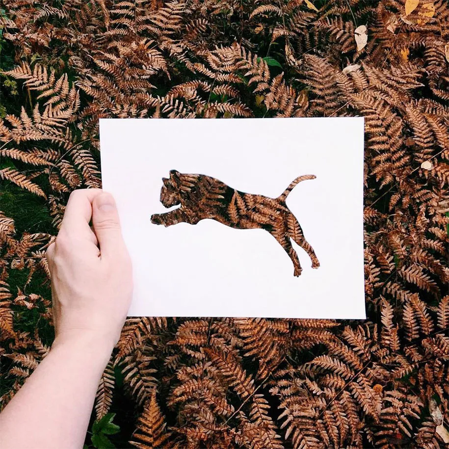 Animal Paper Silhouettes by Nikolai Tolstyh