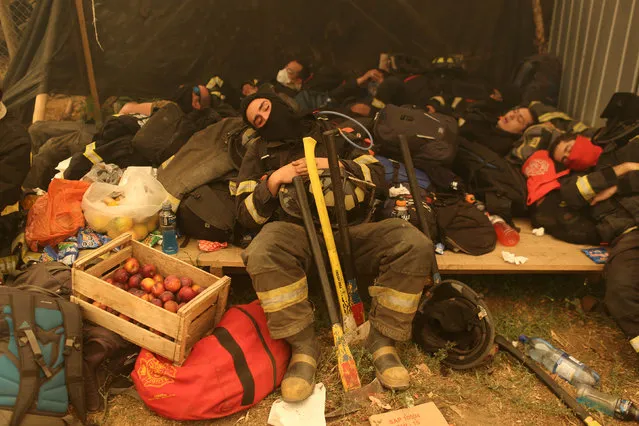 Firefighters take a break while trying to extinguish wildfires that are ravaging wide swaths of the country's central-south regions, in Santa Olga, Chile January 26, 2017. (Photo by Pablo Sanhueza/Reuters)