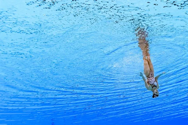 Kazakhsatn's Karina Magrupova competes in the preliminary round of the women's solo free artistic swimming event during the 2024 World Aquatics Championships at Aspire Dome in Doha on February 4, 2024. (Photo by Manan Vatsyayana/AFP Photo)