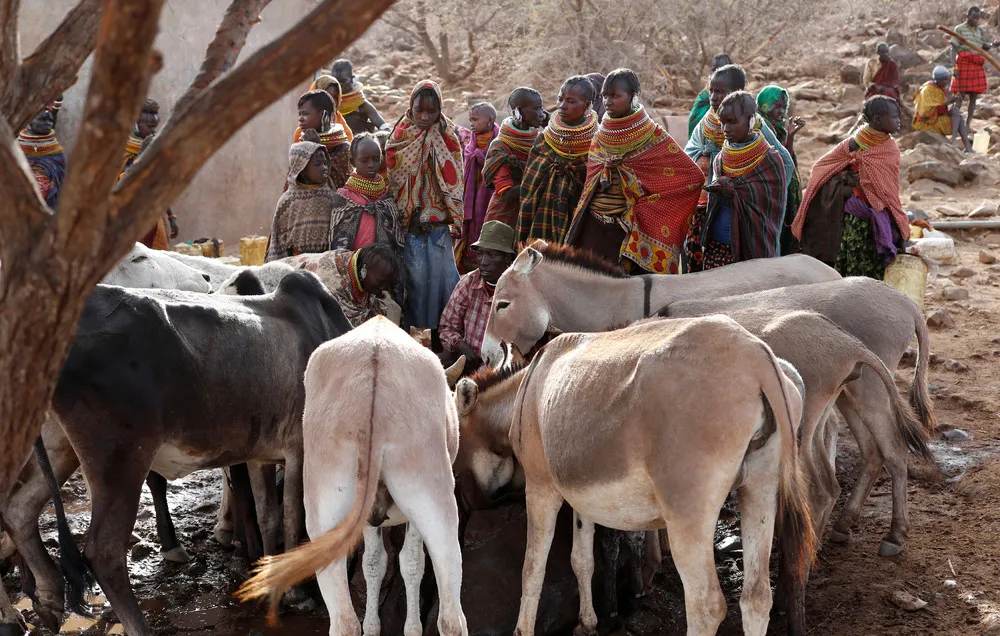 Drought Stokes Rivalry between Kenyan Cattle Herders