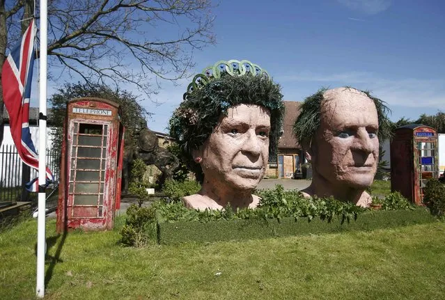Two giant terracotta busts of Britain's Queen Elizabeth and Prince Philip on display in the garden of Fifield House Farm near Windsor, Britain, April 20, 2016. (Photo by Peter Nicholls/Reuters)