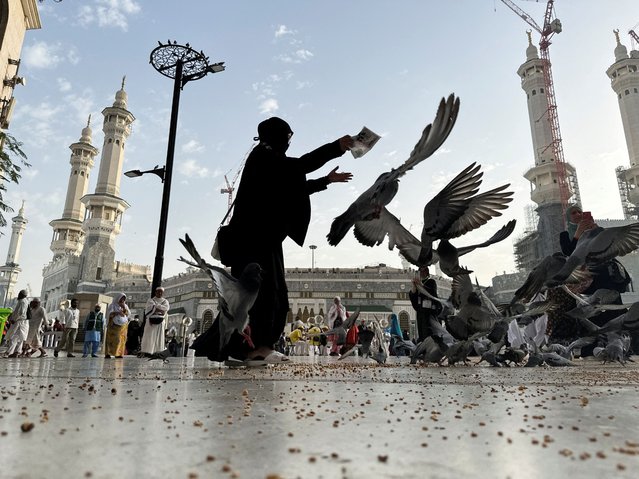 A Muslim woman feeds pigeons at the Grand Mosque, ahead of the annual haj pilgrimage, in Mecca, Saudi Arabia, on June 9, 2024. (Photo by Saleh Salem/Reuters)