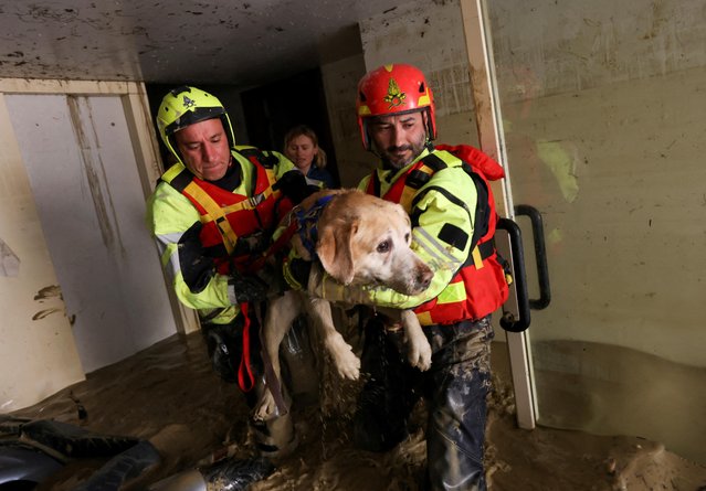 Firefighters evacuate a dog from a flooded house, after heavy rains hit Italy's Emilia Romagna region, in Faenza, Italy on May 18, 2023. (Photo by Claudia Greco/Reuters)