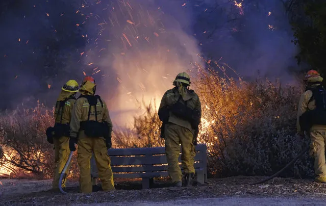 Firefighters douse a brush in the foothills outside of Calabasas, Calif. on Saturday, June 4, 2016. A fast-moving brush fire sweeping through hills northwest of downtown Los Angeles has damaged homes and prompted neighborhood evacuations. Los Angeles County fire officials now say the brushfire is threatening about 3,000 homes in the Calabasas neighborhood. (Photo by Richard Vogel/AP Photo)