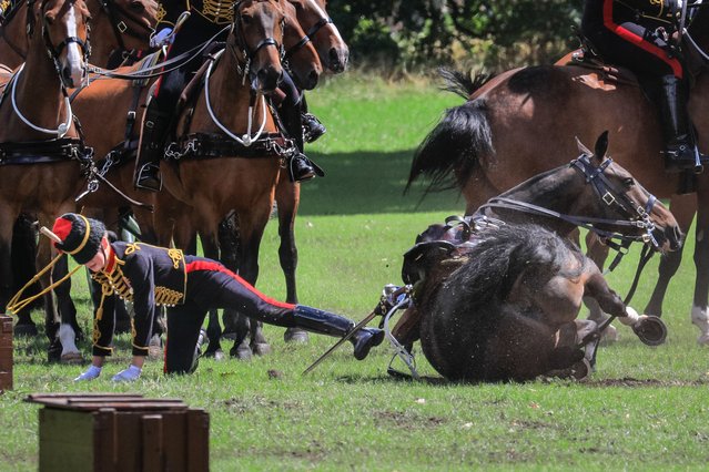 A female soldier is thrown off her horse and several soldiers then run in pursuit of the horse which darts away towards the exit of Green Park, but is caught after a chase lasting several minutes. The incident comes just after the King's Troop Royal Horse Artillery fire a 41 hot Royal Gun Salute for Queen Camilla's birthday in Green Park, London on July 17, 2023. (Photo by Imageplotter/Avalon)