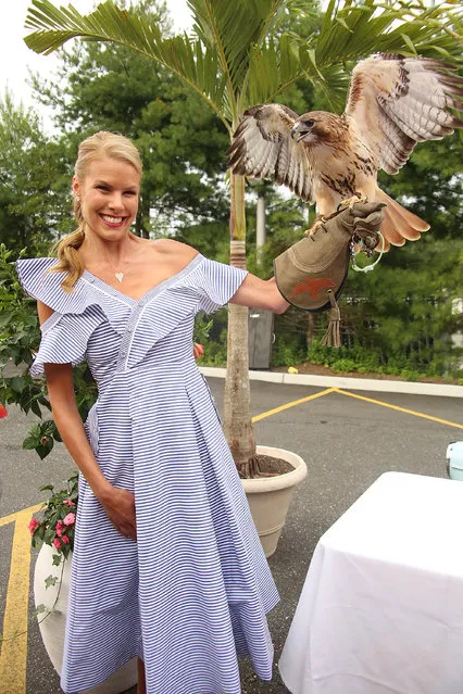 Beth Stern attends the “Getting Wild” event to benefit the Evelyn Alexander Wildlife Rescue Center at Centro Trattoria and Bar on July 20, 2017 in Hampton Bays, New York. (Photo by Sonia Moskowitz/Getty Images)
