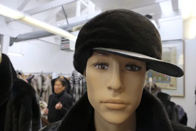 In this photo taken Friday, March 16, 2018, a hat sits on a mannequin as Benjamin Lin talks about the possible closure of the B.B. Hawk showroom in San Francisco because of a possible ban on the sales of fur. San Francisco could become the largest U.S. city to ban the sale of fur items, a move that would hearten animal lovers but frustrate niche business owners who say they're fed up with a city that dictates what retailers can or can't sell. If the ban is approved by the Board of Supervisors on Tuesday, March 20, 2018, San Francisco would join two other California cities, West Hollywood and Berkeley, in saying no to a symbol of glamour that animal advocates say is built on cruelty and doesn't reflect the city's values. (Photo by Eric Risberg/AP Photo)