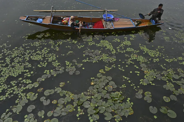 A fisherman rows a boat at Dal lake during a government-imposed nationwide lockdown as a preventive measure against the COVID-19 coronavirus, on the outskirts of Srinagar on April 14, 2020. (Photo by Tauseef Mustafa/AFP Photo)