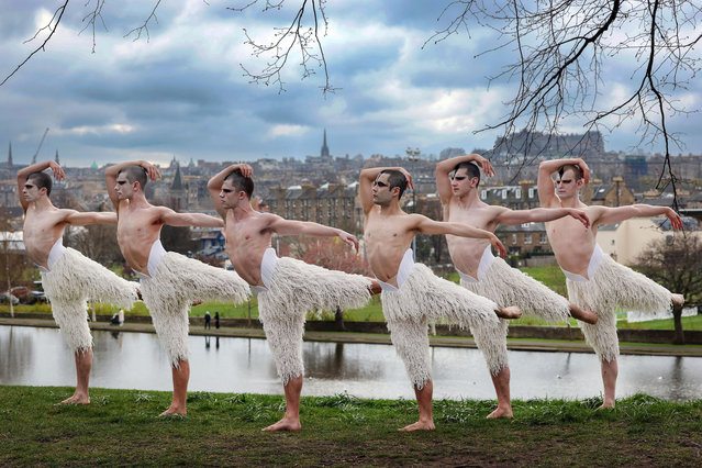 Dancers in costume attend a photo call at Inverleith park to promote Matthew Bourne’s Swan Lake, which runs until the 12 April at the Festival Theatre on April 09, 2025 in Edinburgh, Scotland. Matthew Bourne's production of Russian composer Tchaikovsky's masterpiece 'Swan Lake' is running at the Festival Theatre in Edinburgh from April 8-12. Bourne's re-imagining of the classic ballet premiered thirty years ago, breaking with tradition to feature an all-male corps-de-ballet, and has become one of the most successful and longest running dance theatre productions of all time. (Photo by Jeff J. Mitchell/Getty Images)