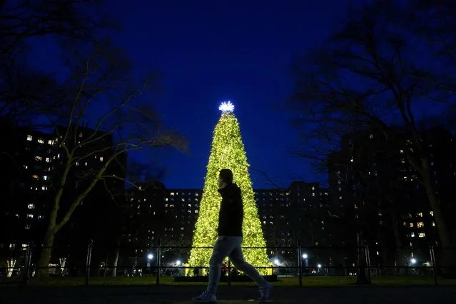 A person walks by a Christmas tree set up in Stuy Town in New York City, U.S., December 14, 2022. (Photo by Andrew Kelly/Reuters)