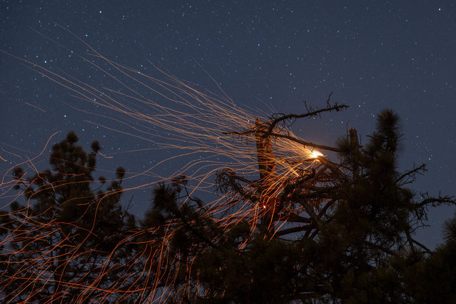 Embers float from a tree under a starry sky as the Line Fire slows for the evening after a sudden a late-season monsoon rain storm temporarily halted its 4,000-foot elevation climb up to the edge of mountain communities on September 7, 2024 near Running Springs, California. Thousands of people fled the fire, which began at the foothill city of Highland in heatwave conditions. It has grown to 17,459 acres and remains 0 percent contained. (Photo by David McNew/Getty Images)