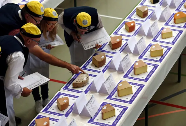 Judges inspect a piece of cheese during the Swiss Cheese Awards competition in Le Sentier, Switzerland September 23, 2016. (Photo by Denis Balibouse/Reuters)