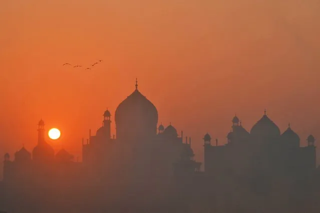 Birds fly against the backdrop of Taj Mahal on a foggy winter morning in Agra on January 18, 2023. (Photo by Pawan Sharma/AFP Photo)