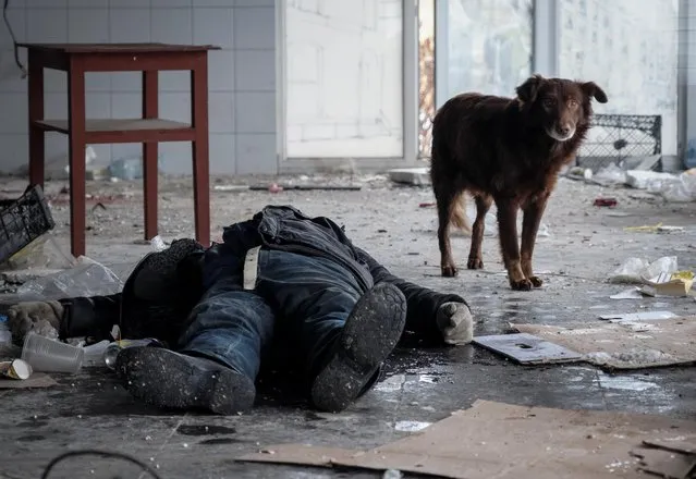 A dog stands near a body inside a damaged building, amid Russia's attack on Ukraine, in Bakhmut, Donetsk region, Ukraine on February 2, 2023. (Photo by Reuters/Stringer)