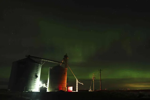 An aurora borealis, also known as the northern lights, is seen in the night sky on Sunday, February 26, 2023, next to grain elevators near Washtucna, Wash. (Photo by Ted S. Warren/AP Photo)