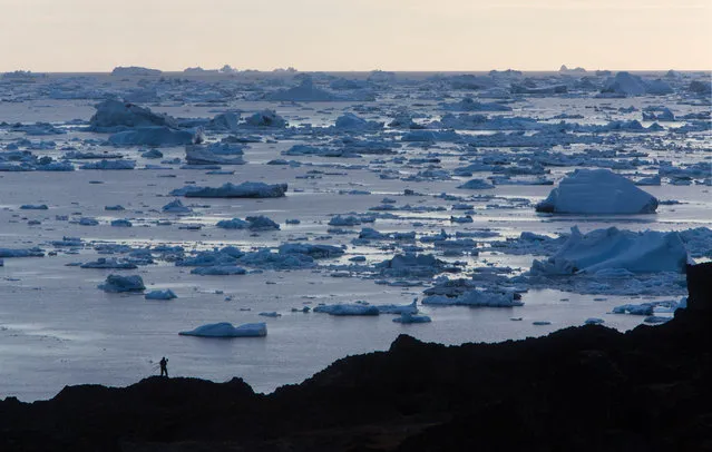 Illulissat is the Kalaallisut (the standard dialect of Greenlandic language) word for iceberg. (Photo by Paul Zizkas/Caters News)