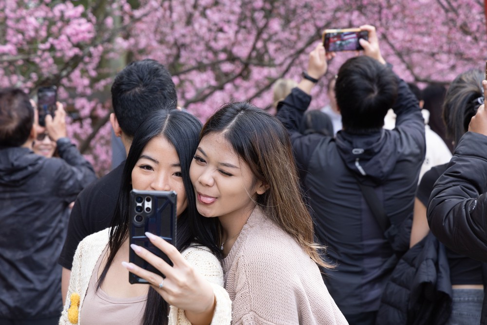 Pictures of the Year 2024, Part 155/240